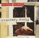 Ordinary World (Single version