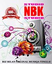 Qaydasan gulim [NBKmusic | Best Music Zone]