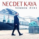 Necdet Kaya