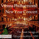 Vienna Philharmonic New Year Concert