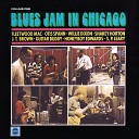 Fleetwood Mac Blue Jam in Chicago
