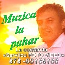 Muzica la pahar 067358202 Nord Ocnita