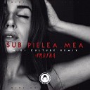 Sub Pielea Mea (Midi Culture Remix) (zaycev.net)