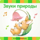 Звуки природы 3D