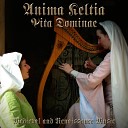 Unter der linden (Traditional Ballad Performed on Harp, Flute, Bodhram)