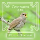 Девятая песня «Соловьиная роща