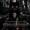 Чёрная кошка