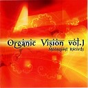 Organic Vision Vol.1