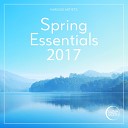 Spring Essentials 2017