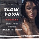 Slow Down (VetLove & Mike Drozdov Remix)