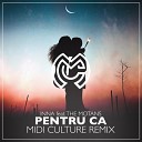 Pentru Că (Midi Culture Remix)