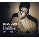 Saga Blues: Natural Born Lover 1954-1958