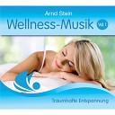 Wellness-Musik, Vol. 1