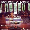 WhaleDreamers Yoga /ShamanaTara and DrDidge Dolphin/ - Sound Healing Live - Byron Bay (2018)