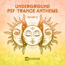 Underground Psy-Trance Anthems, Vol. 11