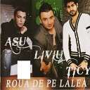 Roua De Pe Lalea ( Feat. Liviu Guta & Ticy )