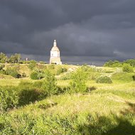 Андрей Волков