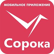 Сорока Кострома