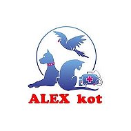 Alex Kot