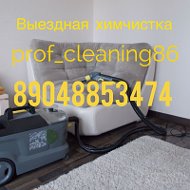 Prof Cleaning86