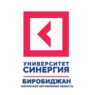 Университет Синергия