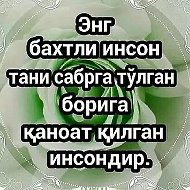 Сизни Курган