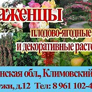 Климовский Питомник