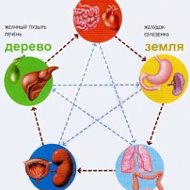 Надеждакатеринич Китайская