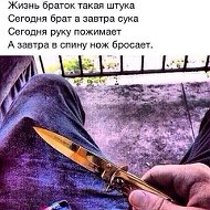 Одинокий Волк