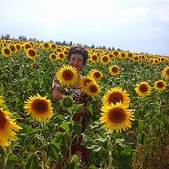 Галина Голопузова