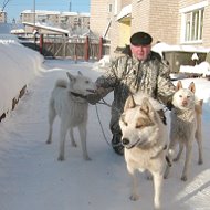 Александр Петренев