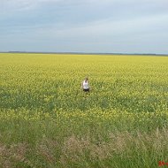 Екатерина Степанова