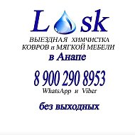 Химчистка Losk