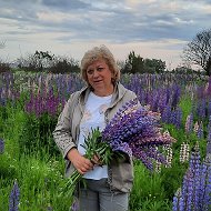 Наталья Соколова