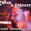 Гарик и Сталкер