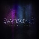 2011 Evanescence