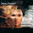 Deep Forest ( этно-электроника). Эмбиент