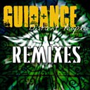 Guidance (2011 Remixes) (Distant People Amnesia Remix)