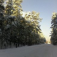 Светлана Олег