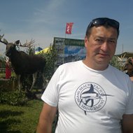 Феликс Гибатов