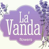 Lavanda Flowers