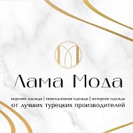 Лама-мода Черноголовка