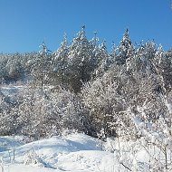 Алекс Андерсен