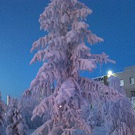 Валентина Блинцова