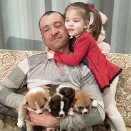 Андрей Гребенников