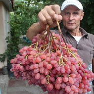 Дмитрий Абдурахимов