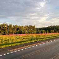 Анжелика Руденко