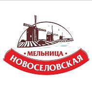 Мельница Новоселово