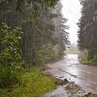 Валерий Бережных