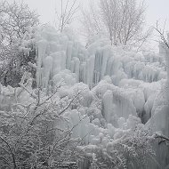 Наталья Фролкина